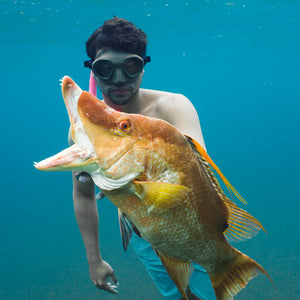 Spearfishing in the Bahamas: An Unforgettable Experience