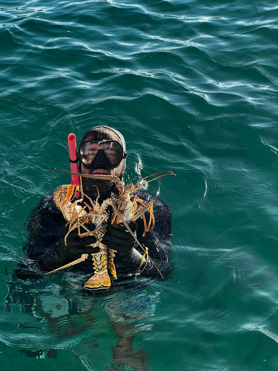 Florida Lobster Mini Season An Exciting Adventure in the Sunshine Sta